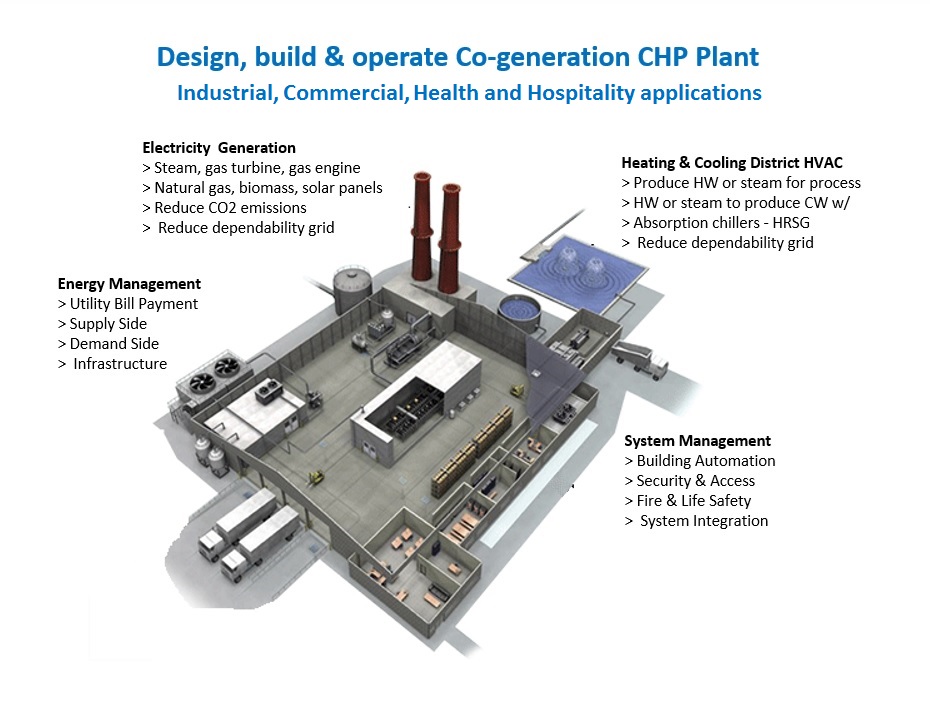 co-generation cph plant engineering design services